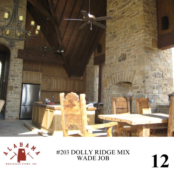 #203 DOLLY RIDGE MIX - Image 12