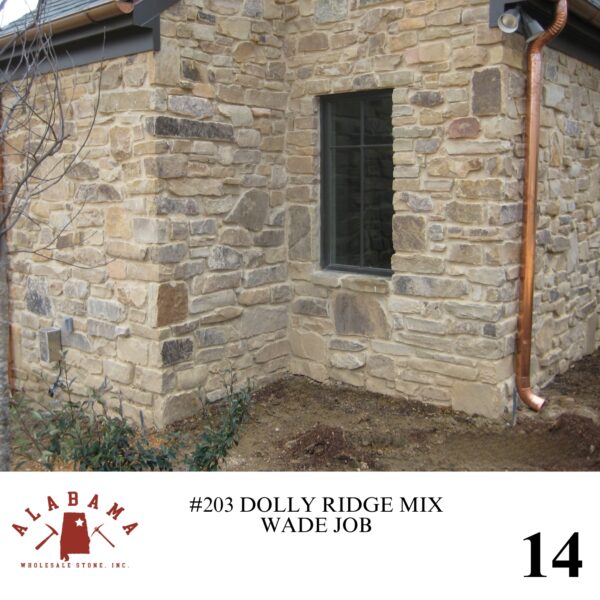 #203 DOLLY RIDGE MIX - Image 14