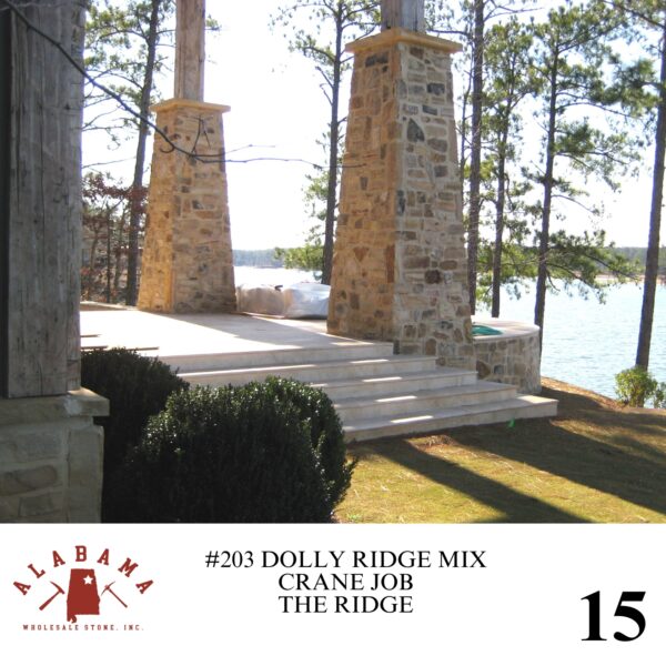 #203 DOLLY RIDGE MIX - Image 15