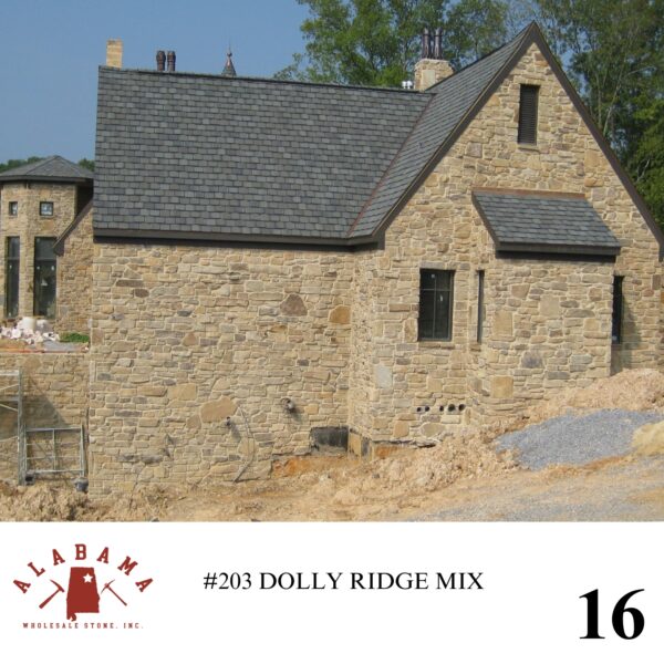 #203 DOLLY RIDGE MIX - Image 16