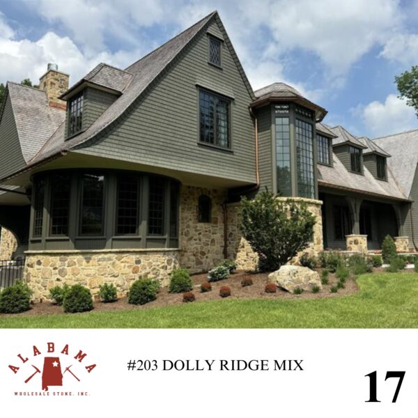 #203 DOLLY RIDGE MIX - Image 17