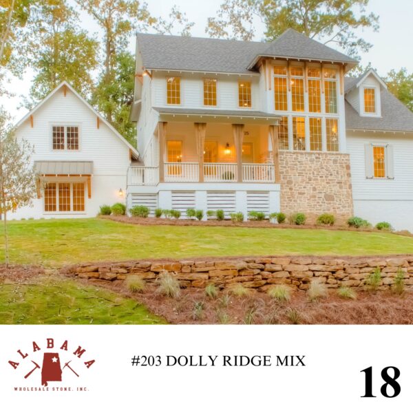#203 DOLLY RIDGE MIX - Image 18