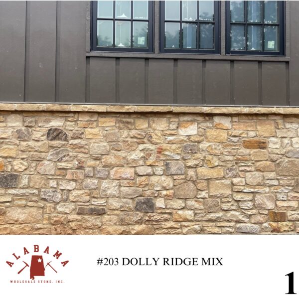 #203 DOLLY RIDGE MIX