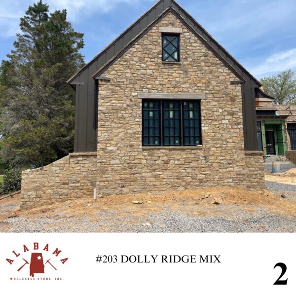 #203 DOLLY RIDGE MIX - Image 2