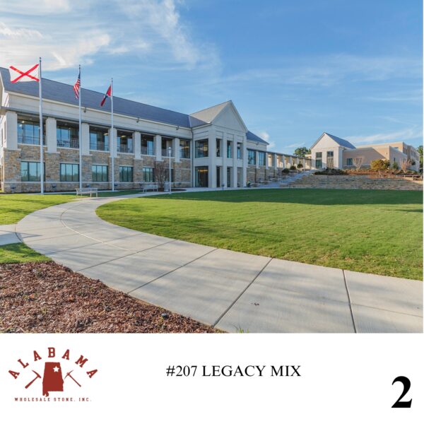 #207 LEGACY MIX - Image 2