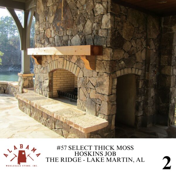 #057 SELECT THICK MOSS 3-5" THICK - Image 2