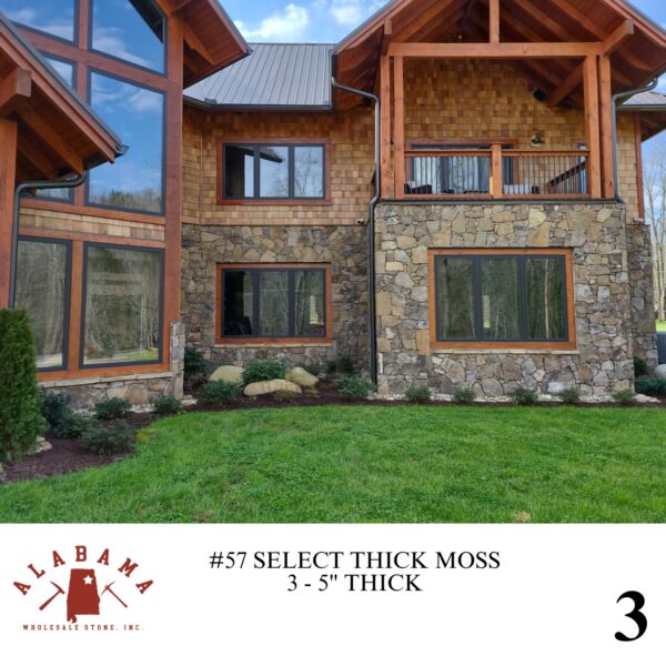 #057 SELECT THICK MOSS 3-5" THICK - Image 3