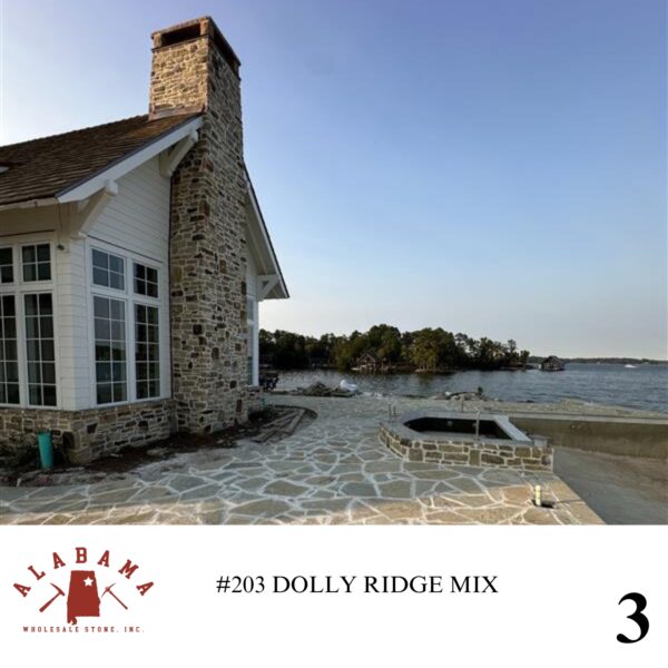 #203 DOLLY RIDGE MIX - Image 3