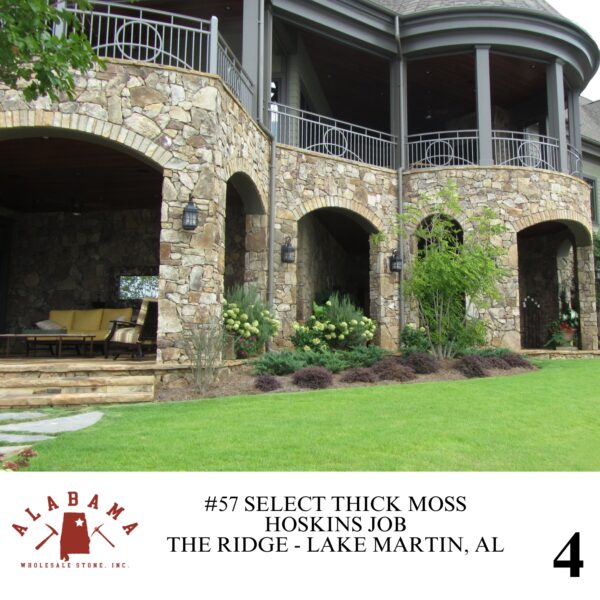 #057 SELECT THICK MOSS 3-5" THICK - Image 4