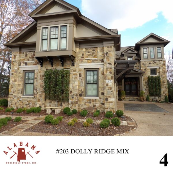 #203 DOLLY RIDGE MIX - Image 4
