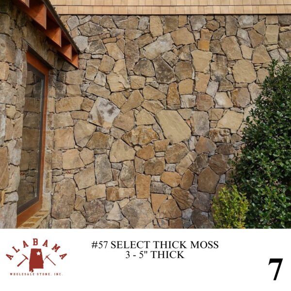 #057 SELECT THICK MOSS 3-5" THICK - Image 7