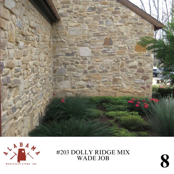 #203 DOLLY RIDGE MIX - Image 8