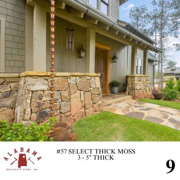 #057 SELECT THICK MOSS 3-5" THICK - Image 9