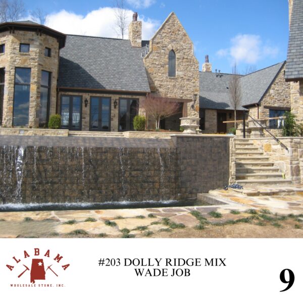 #203 DOLLY RIDGE MIX - Image 9