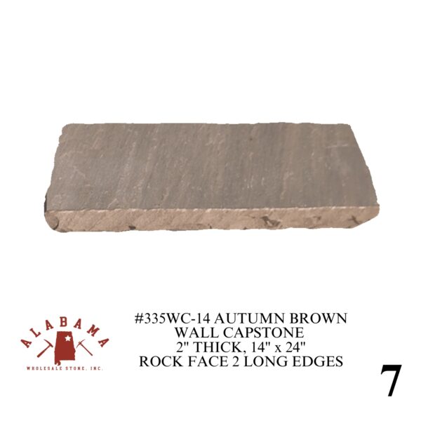 AUTUMN BROWN PRODUCTS - Image 7