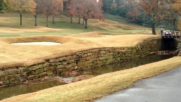 #63 BROWN QUARRY LEDGEROCK